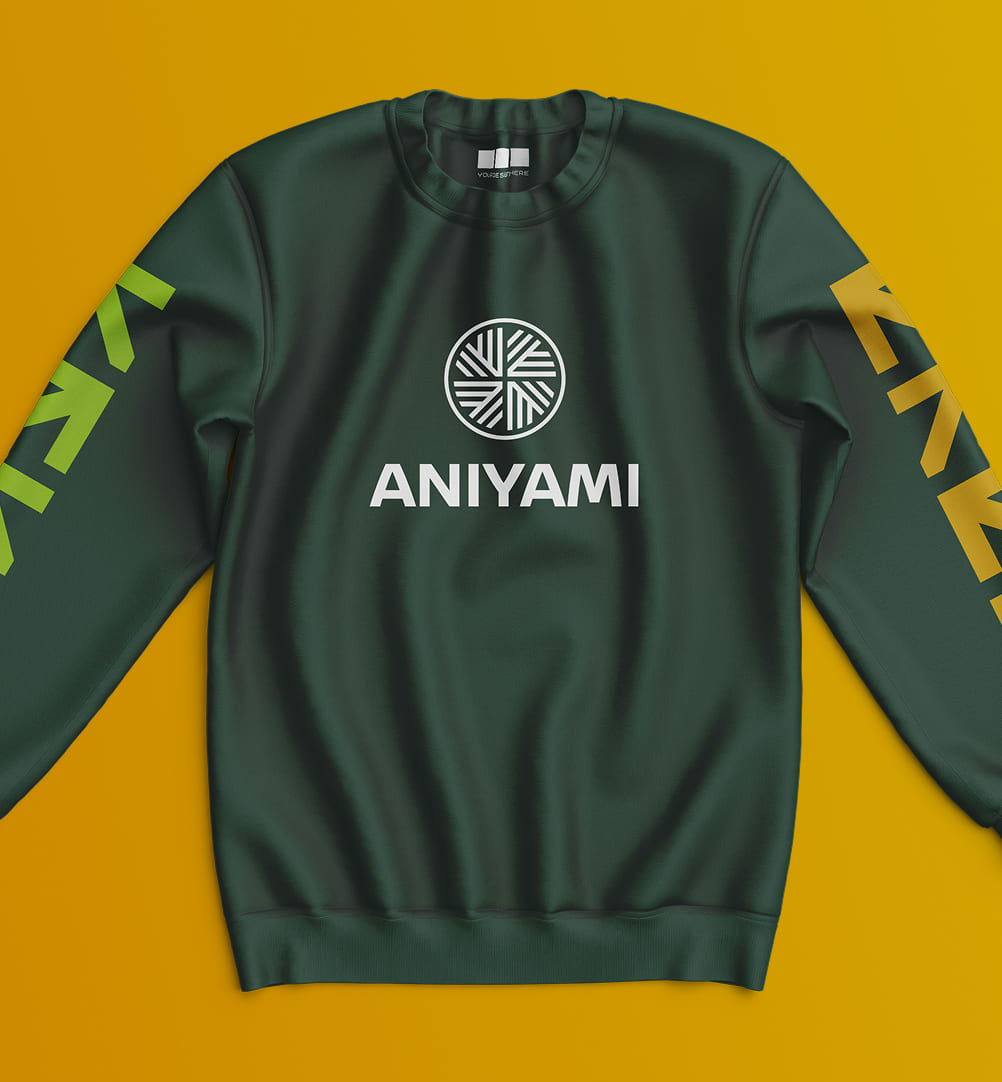 Aniyami — Interface